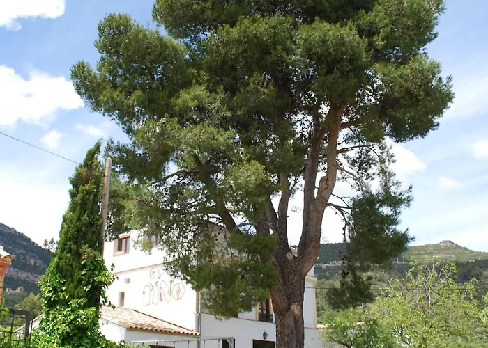 El Pino B & B, Chera