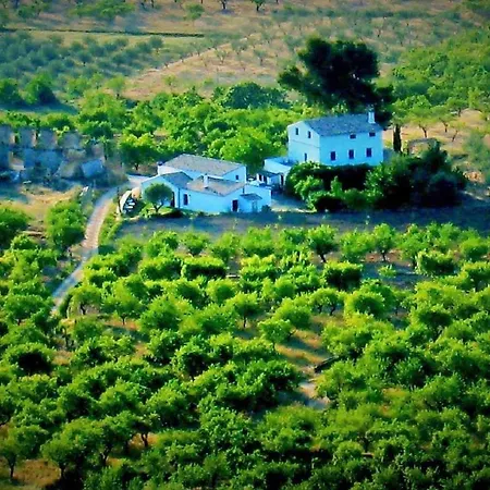 El Pino B & B, Chera * Валенсия