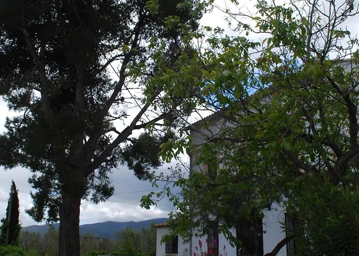 Casa de Férias El Pino B & B, Chera Valência
